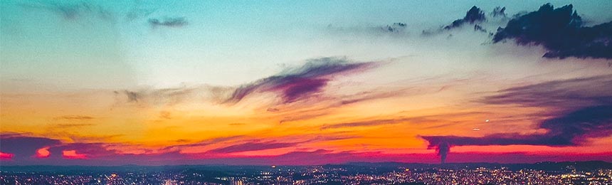 新野茶虫网_新野品茶